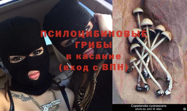 меф Ладушкин