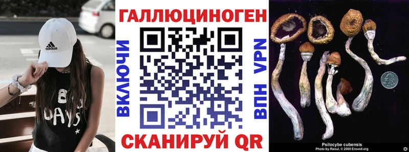 mega ССЫЛКА  Елец  Псилоцибиновые грибы Psilocybine cubensis 
