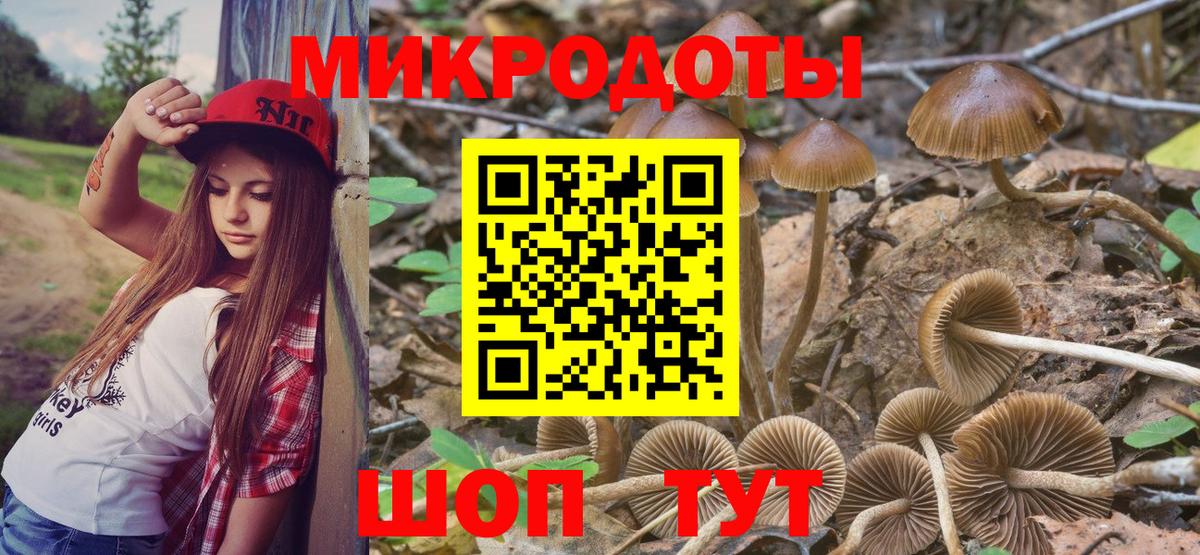 Галлюциногенные грибы Magic Shrooms Елец