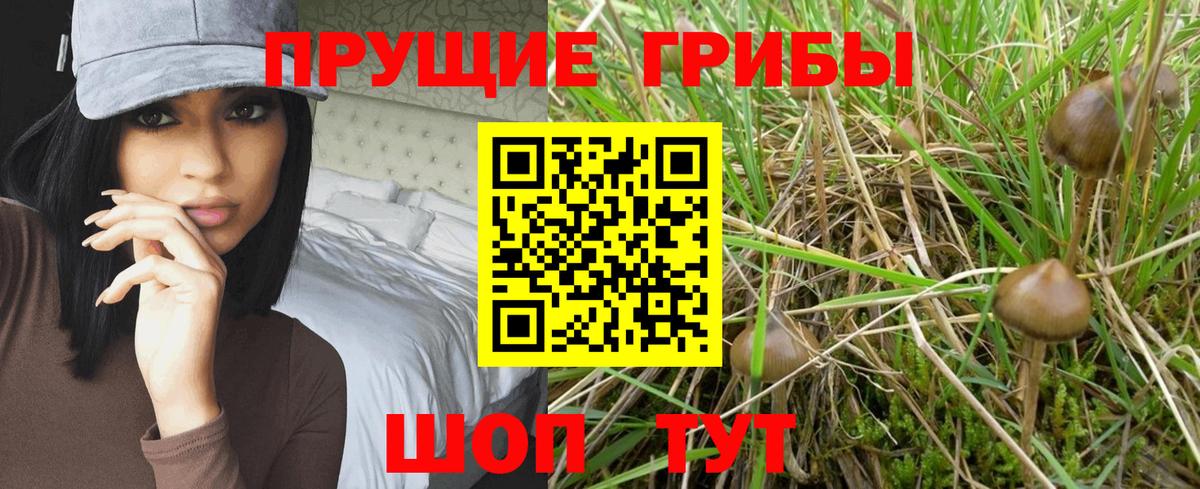 Псилоцибиновые грибы прущие грибы  Елец  Псилоцибиновые грибы Magic Shrooms 